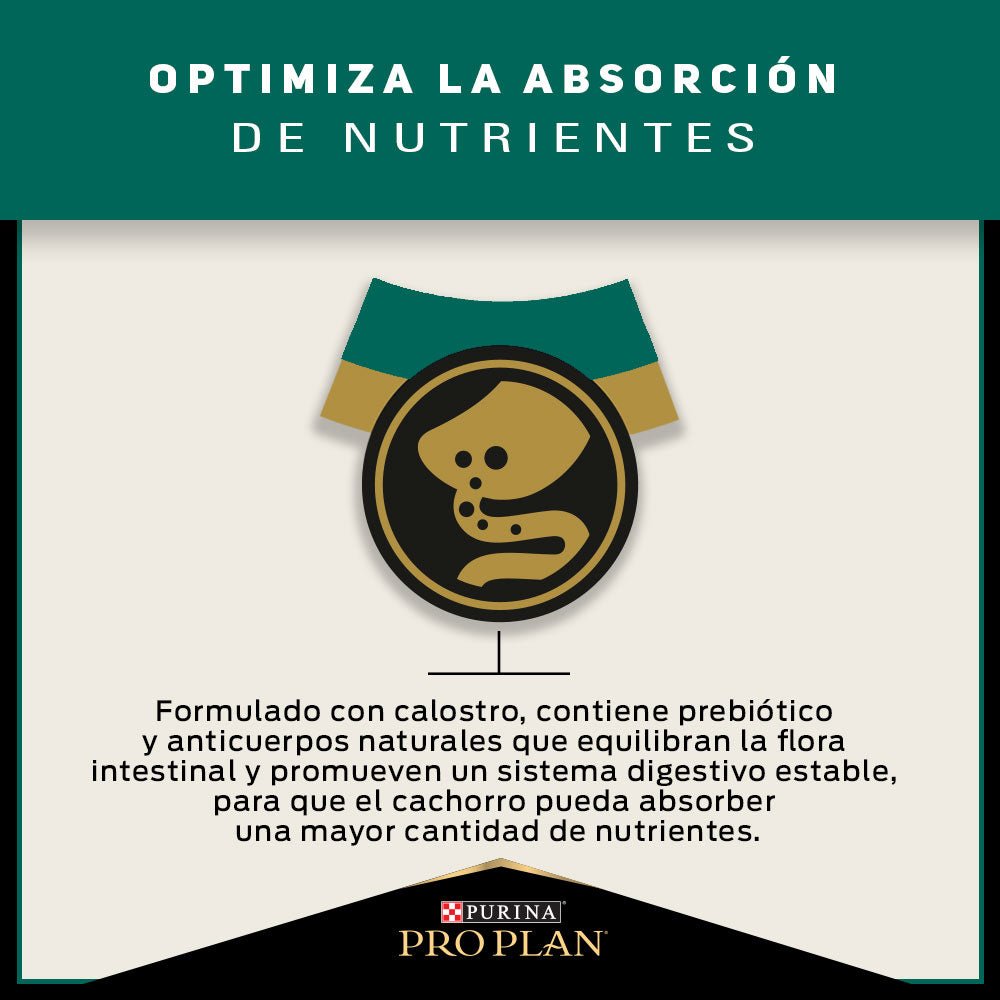 Pro Plan Cachorros Razas Pequeñas - PetsPlaza
