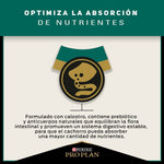 Pro Plan Cachorros Razas Pequeñas - PetsPlaza