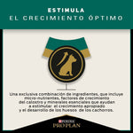 Pro Plan Cachorros Razas Pequeñas - PetsPlaza