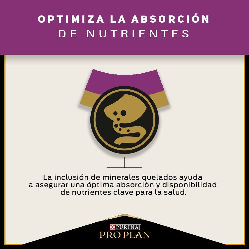 Pro Plan Cat Urinary - PetsPlaza