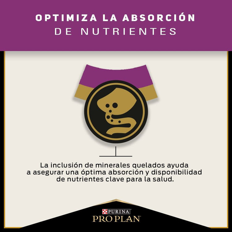 Pro Plan Cat Urinary - PetsPlaza
