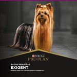 Pro Plan Exigent Razas Pequeñas - PetsPlaza