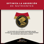Pro Plan Gato Adulto - PetsPlaza