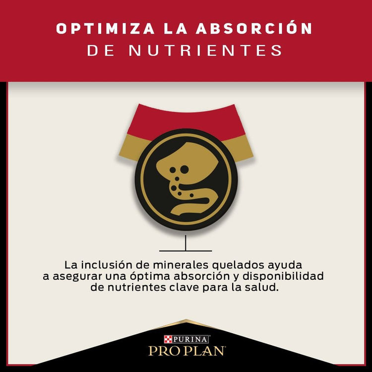 Pro Plan Gato Adulto - PetsPlaza