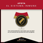 Pro Plan Gato Adulto - PetsPlaza