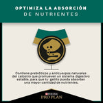 Pro Plan Kitten - PetsPlaza
