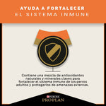 Pro Plan Sensitive Skin Adultos Razas Medianas y Grandes - PetsPlaza