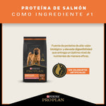 Pro Plan Sensitive Skin Adultos Razas Medianas y Grandes - PetsPlaza
