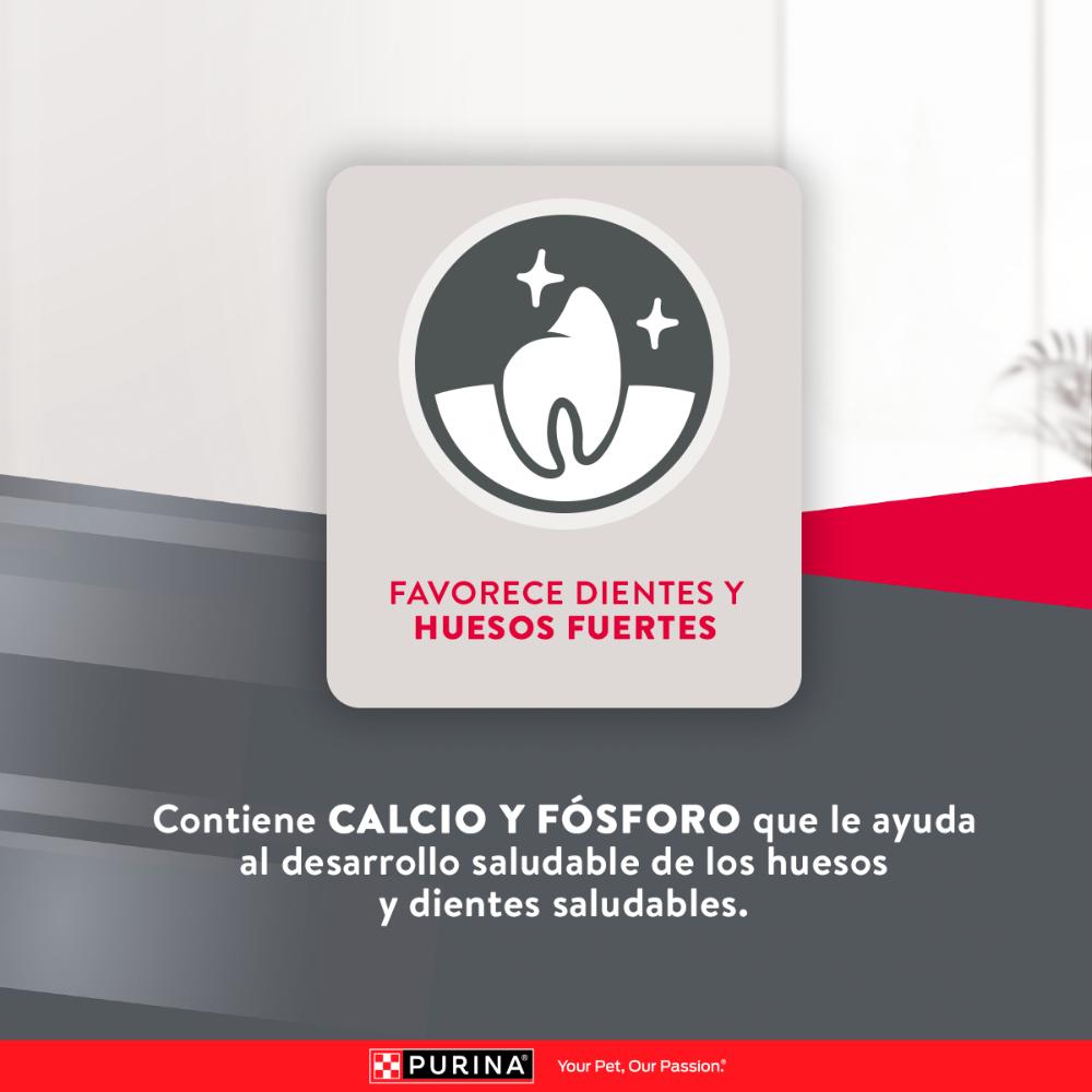 Purina Excellent Cachorros Razas Medianas y Grandes - PetsPlaza