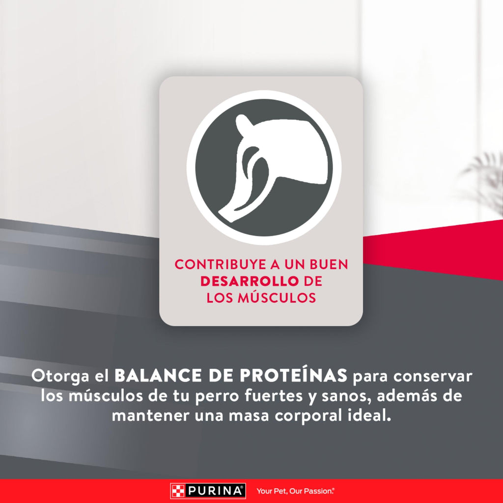Purina Excellent Perros Adultos Mantenimiento - PetsPlaza
