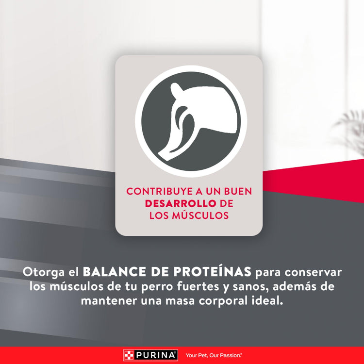 Purina Excellent Perros Adultos Mantenimiento - PetsPlaza