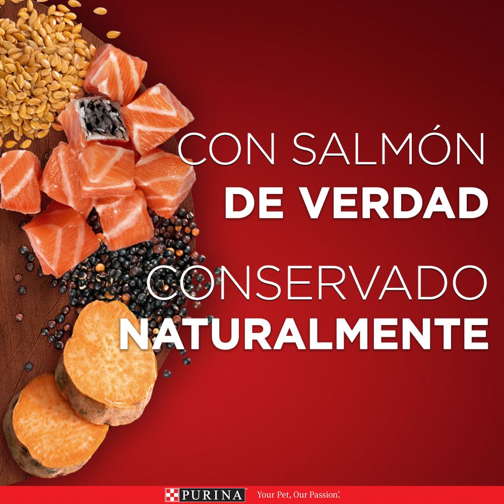 Purina One Superfoods Cachorros y Adultos Salmón - PetsPlaza