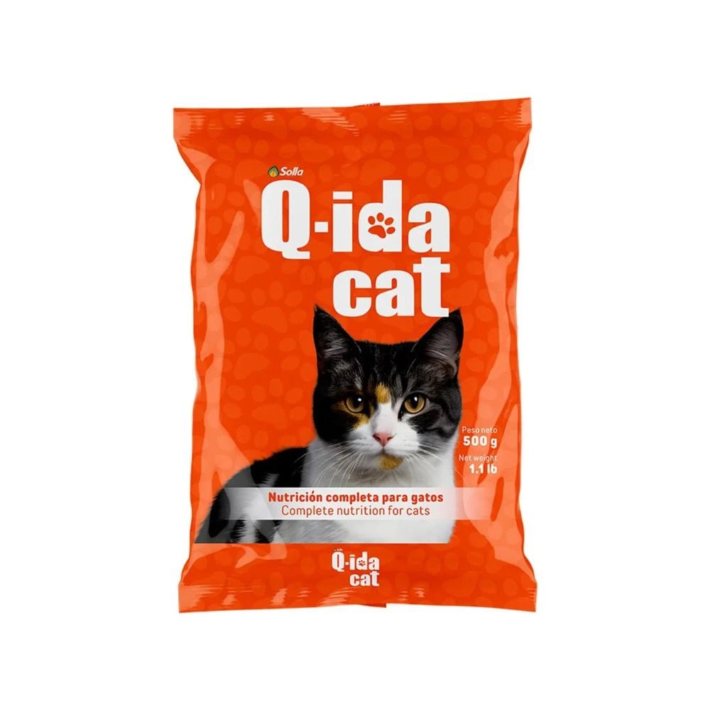 Q - ida Cat - PetsPlaza