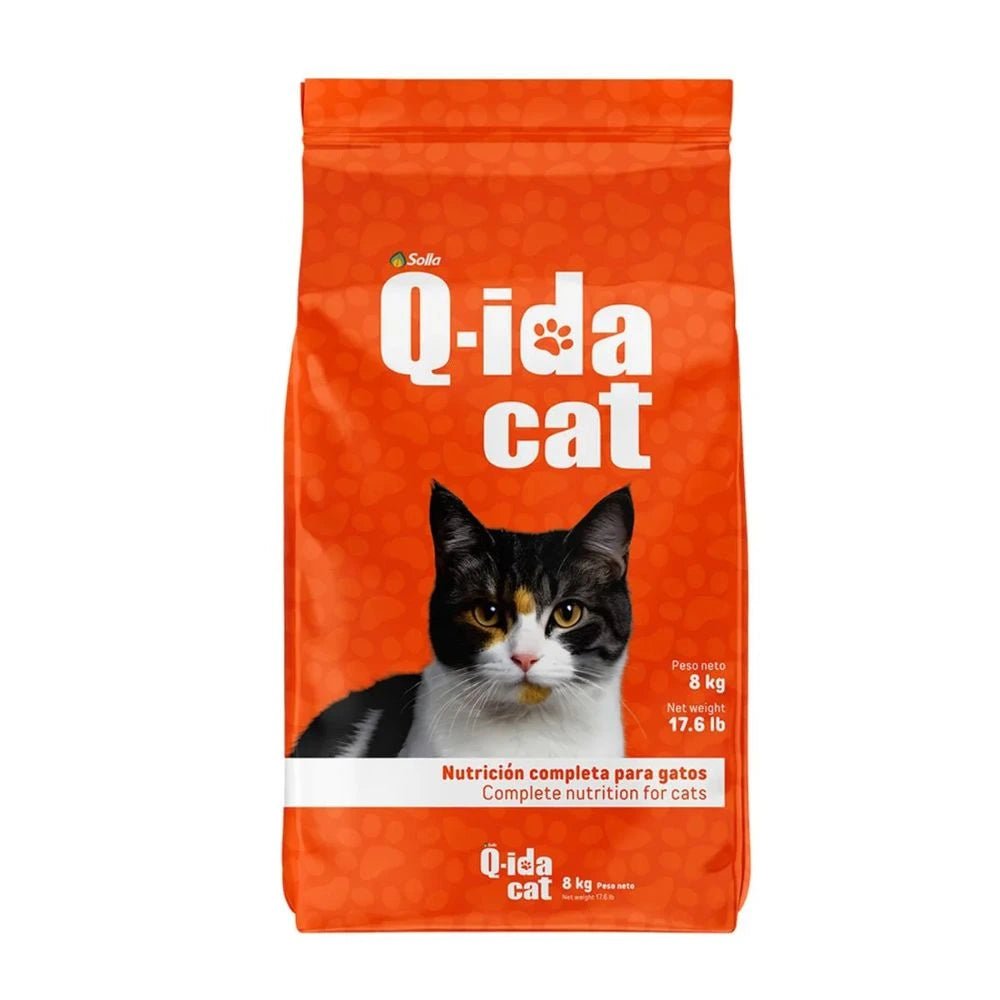 Q - ida Cat - PetsPlaza