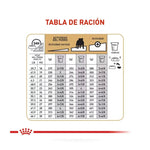Royal Canin Bulldog Inglés Adulto - PetsPlaza