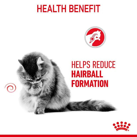 Royal Canin Hairball Care Gato - PetsPlaza