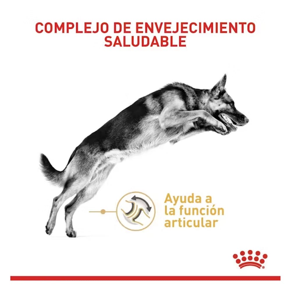 Royal Canin Pastor Alemán 5+ - PetsPlaza