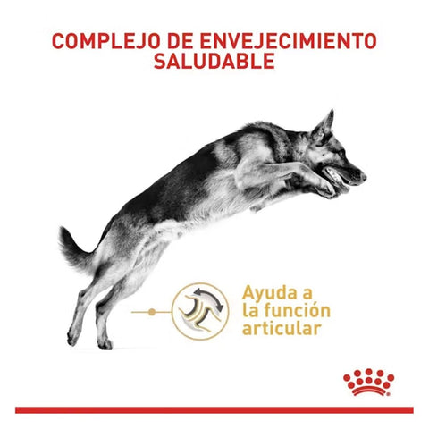 Royal Canin Pastor Alemán 5+ - PetsPlaza
