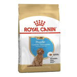 Royal Canin Poodle Cachorro - PetsPlaza