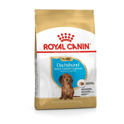 Royal Canin Dacshund Cachorro