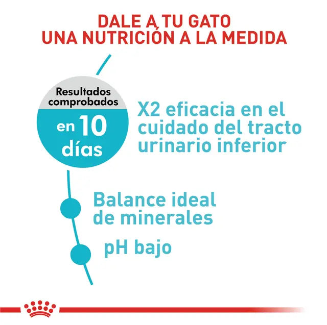 Royal Canin Urinary Care Gato