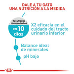 Royal Canin Urinary Care Gato