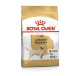 Royal Canin Labrador Adulto