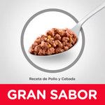 Hill's Science Diet Adult Alimento Húmedo para Perros