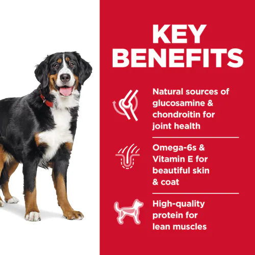 Hill's Science Diet Adult Large Breed Alimento Seco para Perros