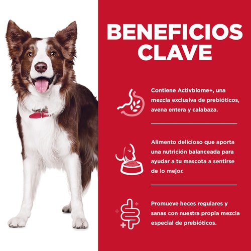 Hill's Science Diet Adult Perfect Digestion Alimento Seco para Perros